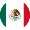 Desarrolladores de México aprenden inglés técnico con Teacher Alex.